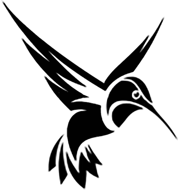 Logo noir colibri soins à annecy